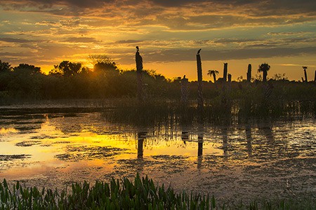 Golden Sunset at Viera by Dirk Den Boef 450 300