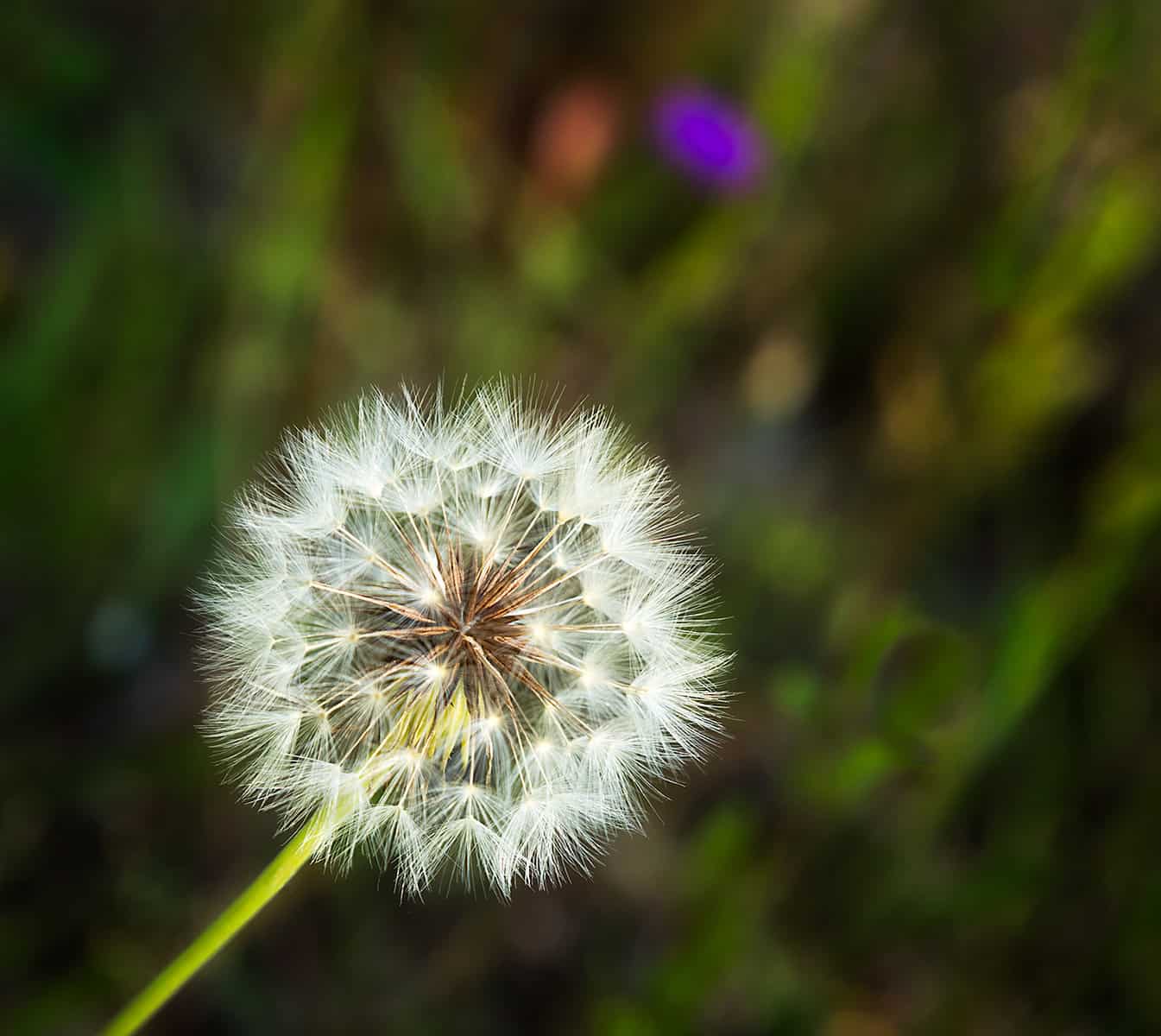 Embracing The Wind