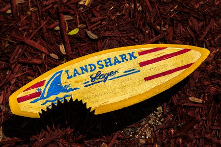 Busch Land Shark