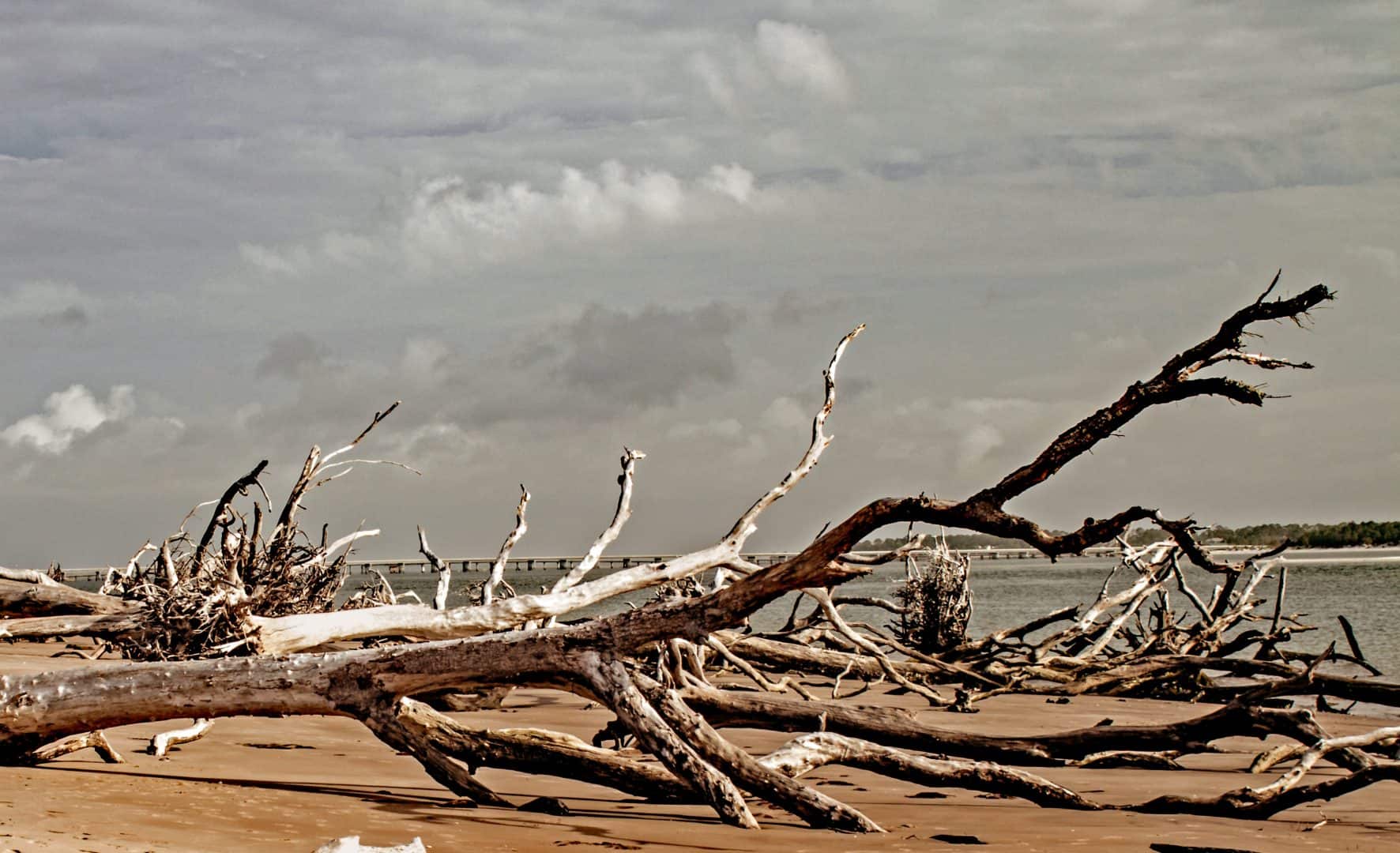 BoneyardBch