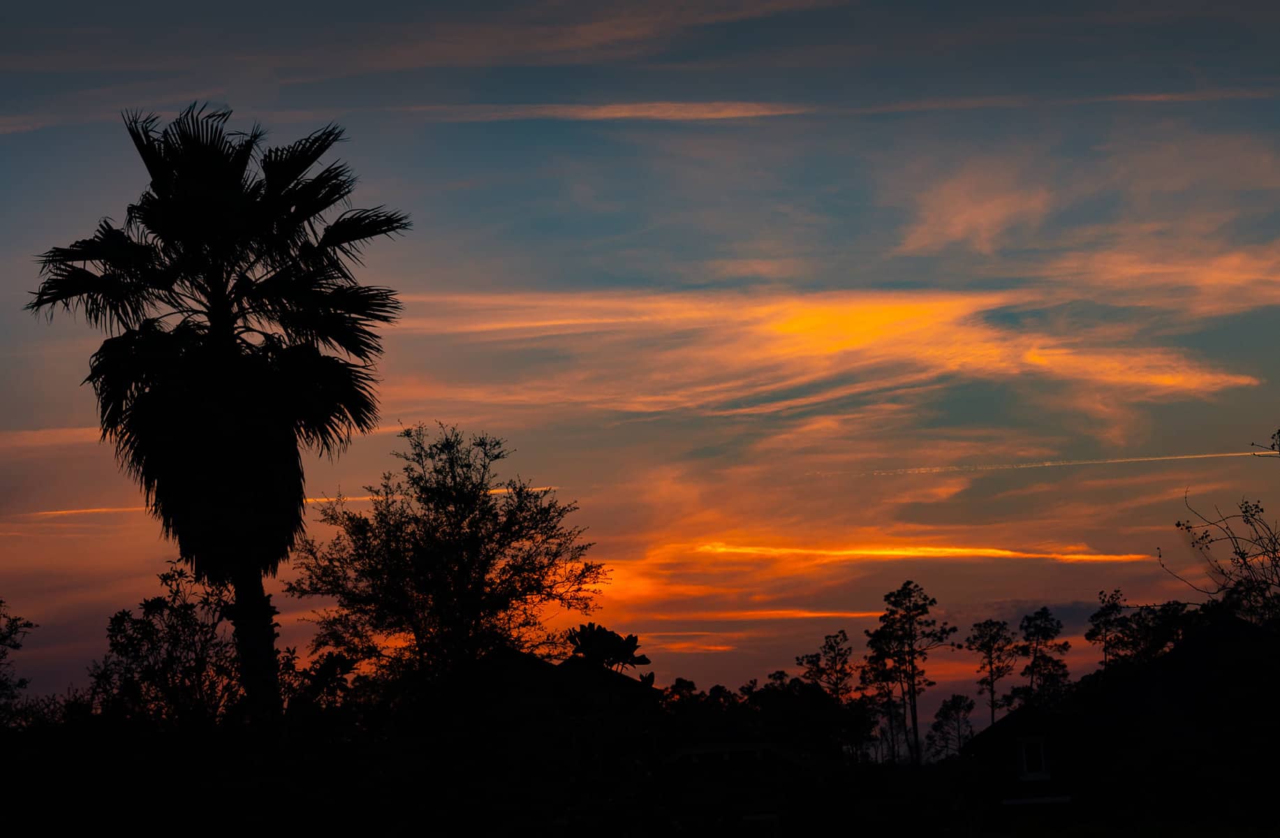 Nocatee Sunset