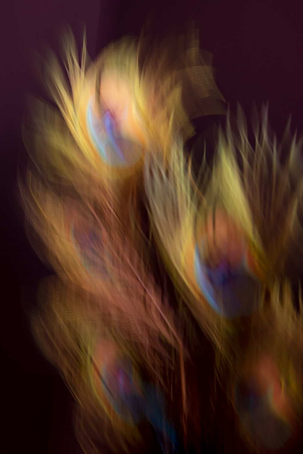 Feather ICM