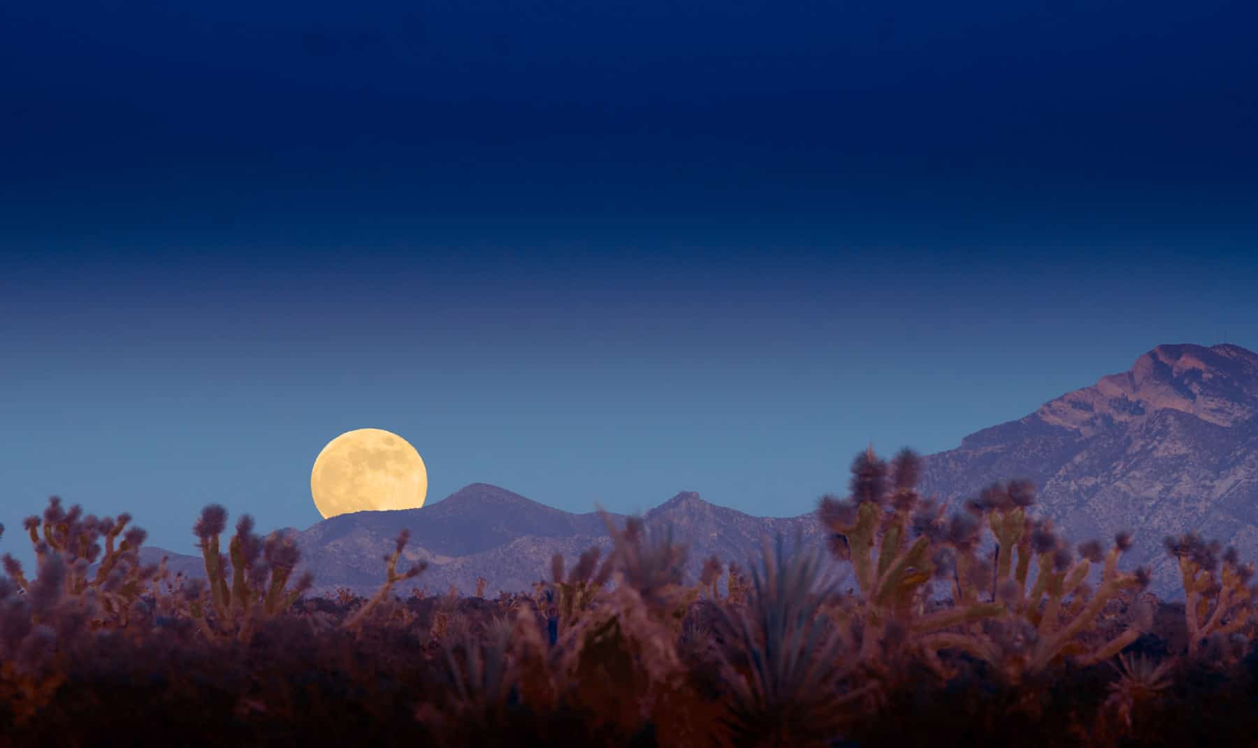 Moonrise-July2011-4493-Edit-9-1-22_Long Edge_1800x1070_H_40