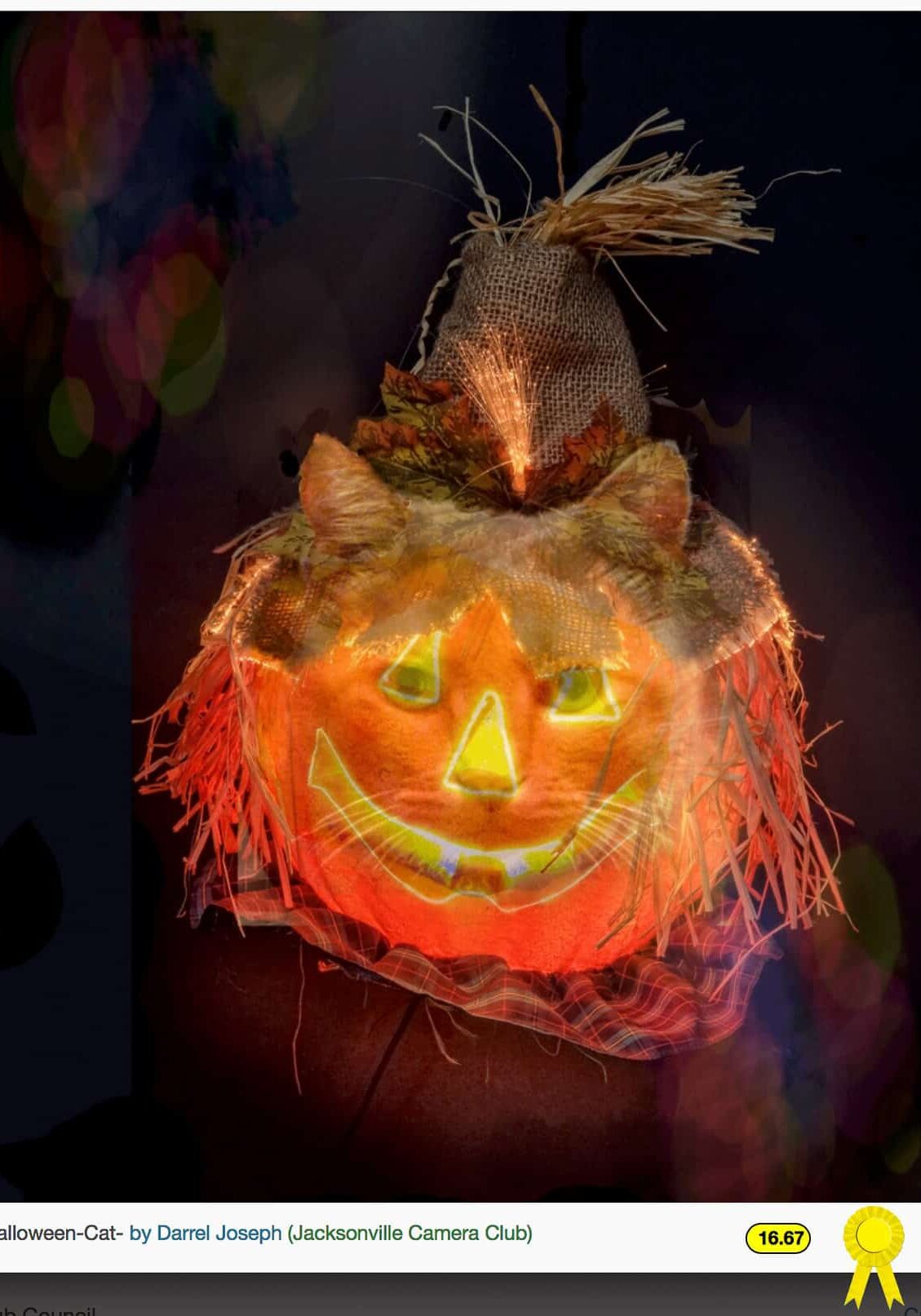 Halloween Cat - Darrel Joseph - Creative