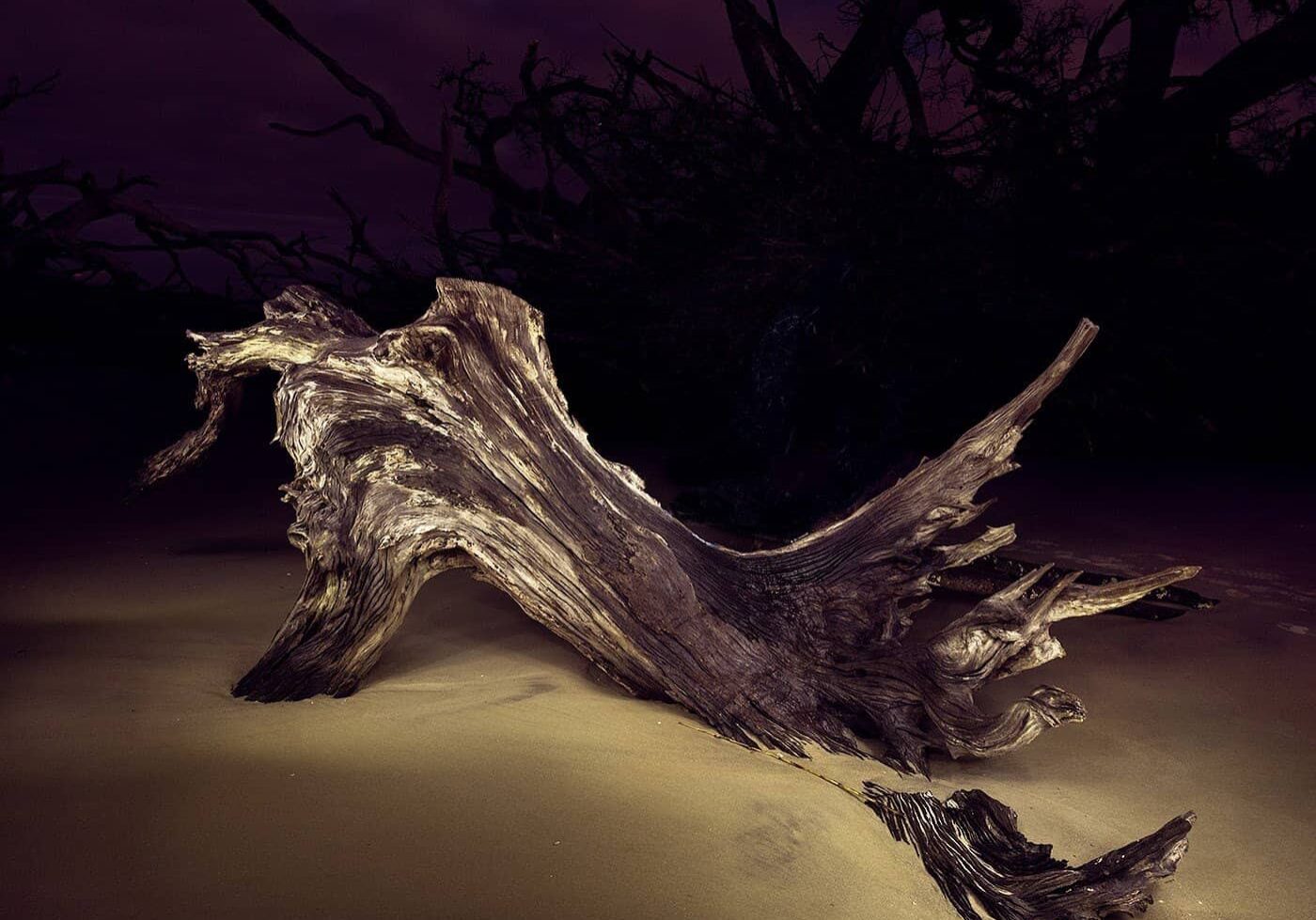 Jekyll Driftwood