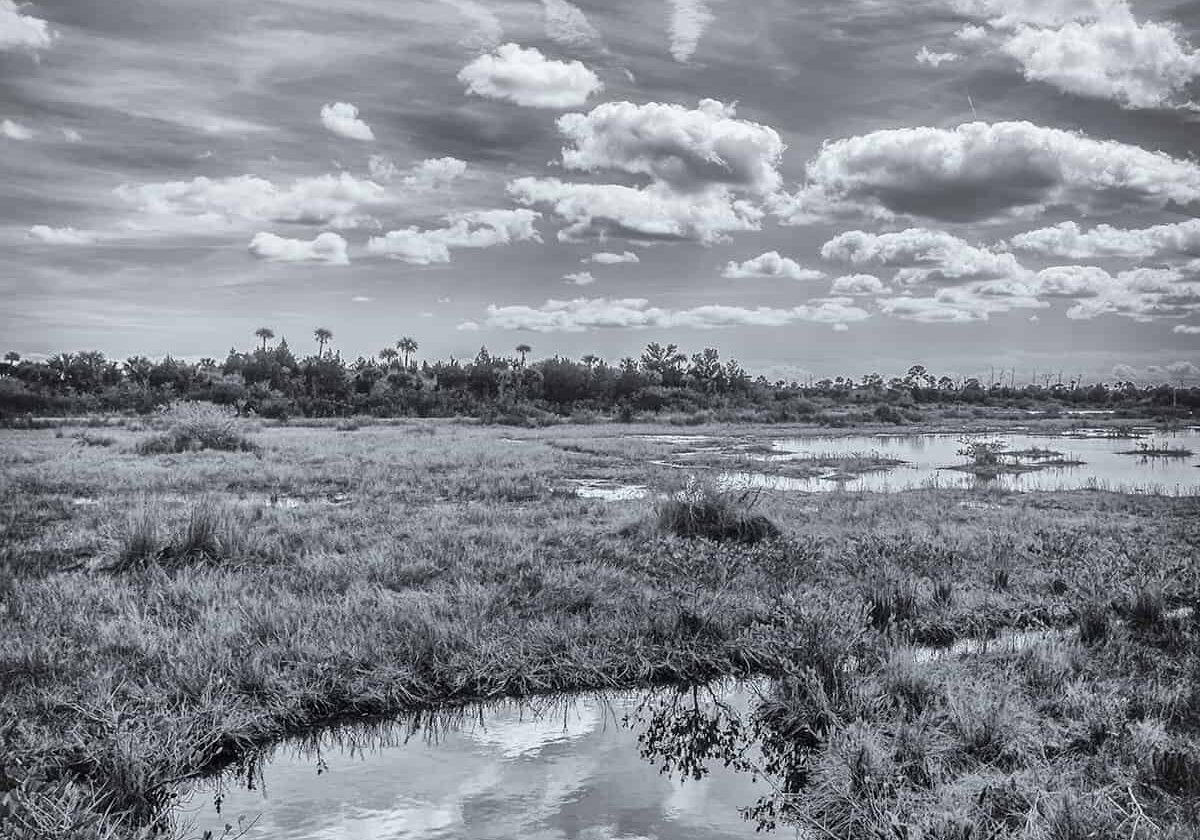 Merritt Island, by Young McQueen