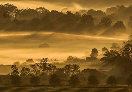 Shenandoah Morning Glow 450 300 60