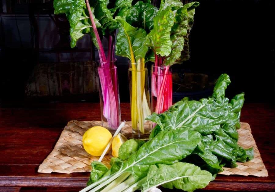 Still-Life-with-Chard