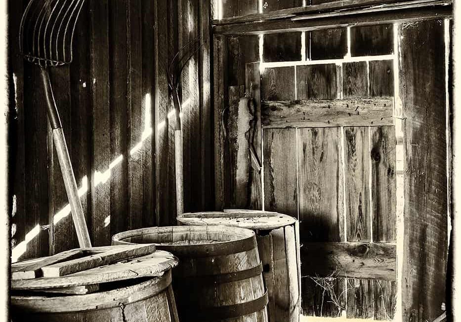 Storage Shed Sepia..JAN VALLELY